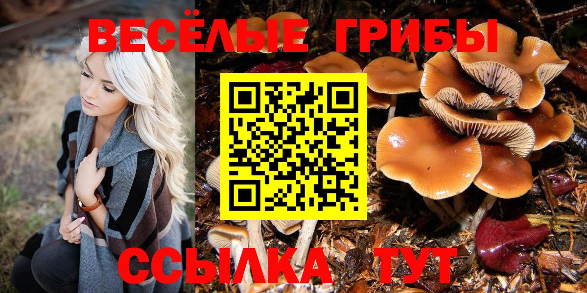 Новосибирск  Галлюциногенные грибы мицелий  Вход с VPN 
